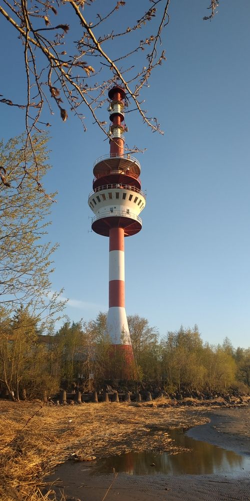 Photograph by Ольга Мольдон