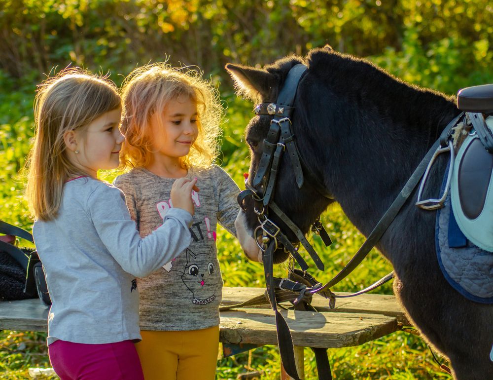 Photograph by Ольга Заповедная