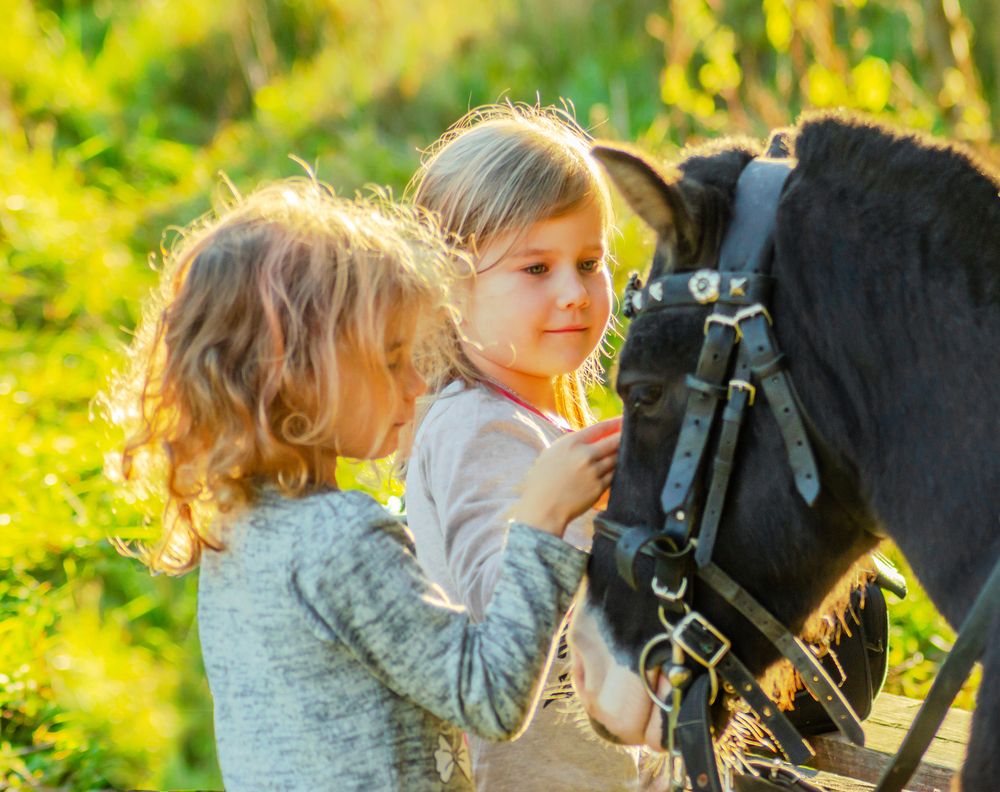 Photograph by Ольга Заповедная