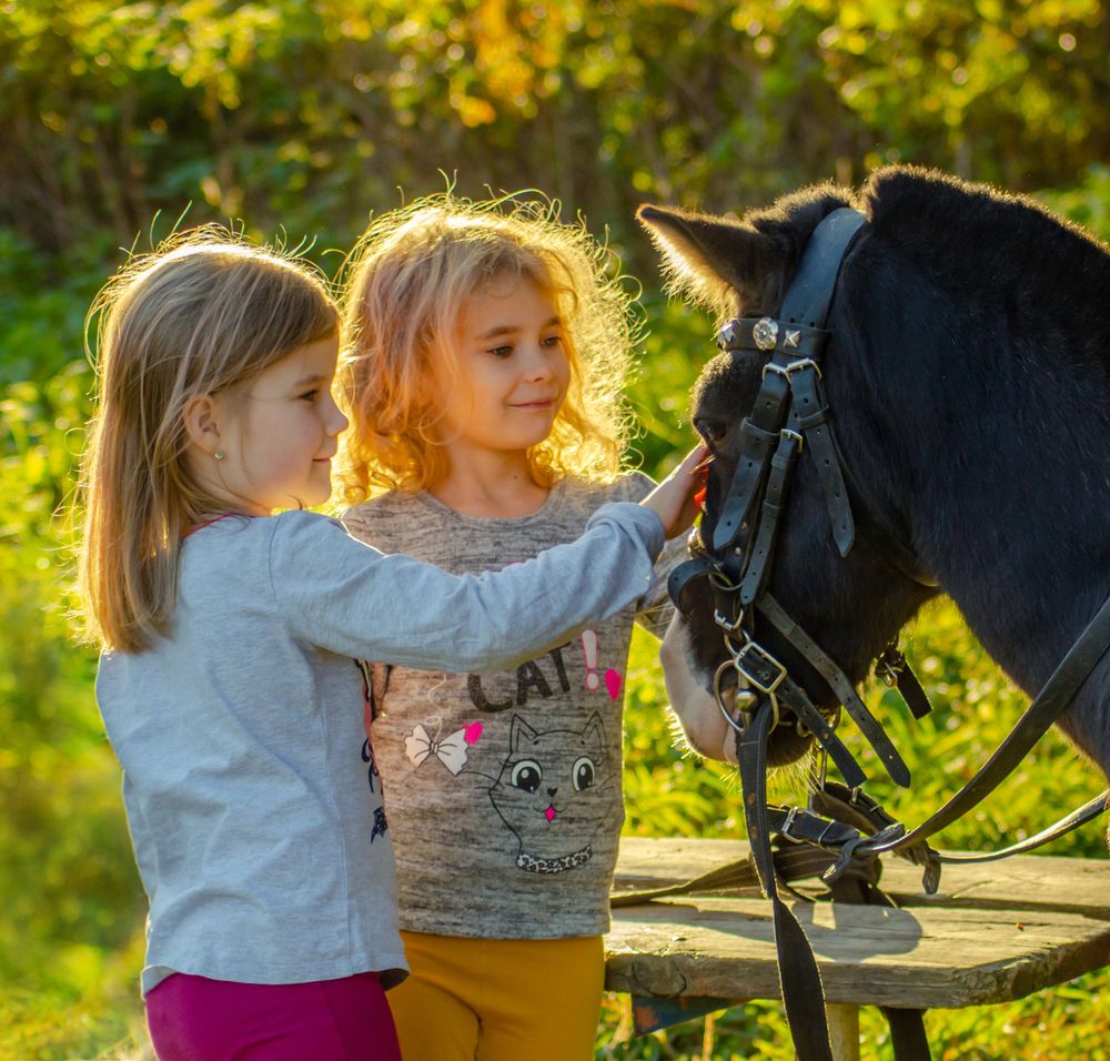 Photograph by Ольга Заповедная