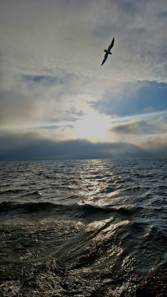 Photograph by Ольга Мольдон