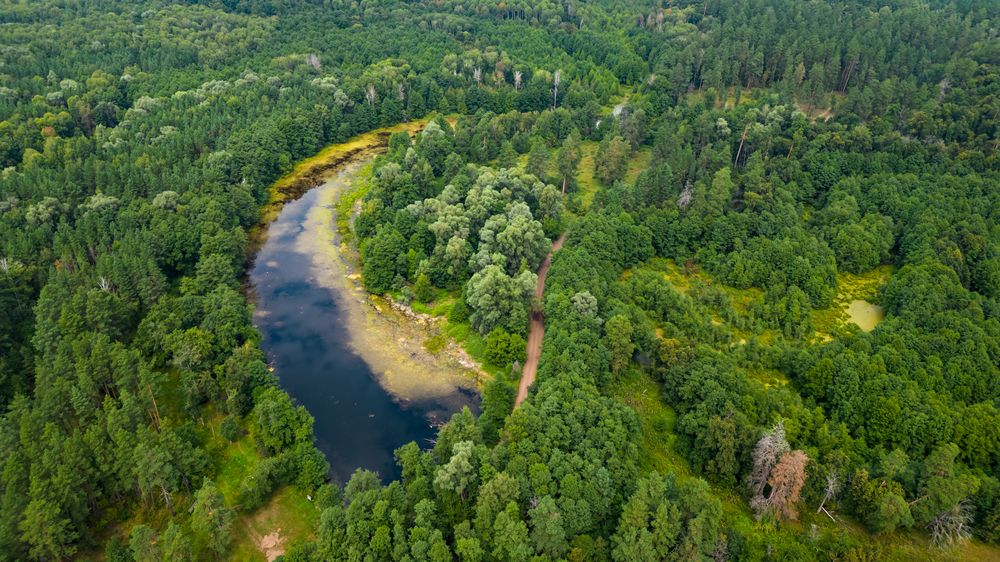 Photograph by Eliseev Nikolay