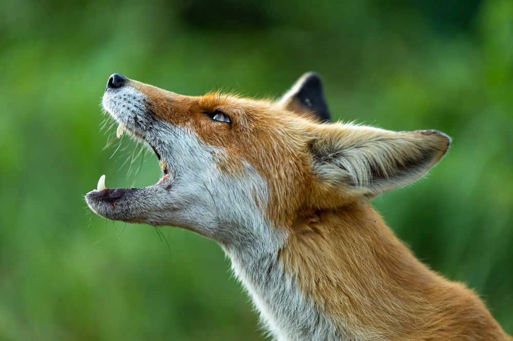 Photograph by Eliseev Nikolay