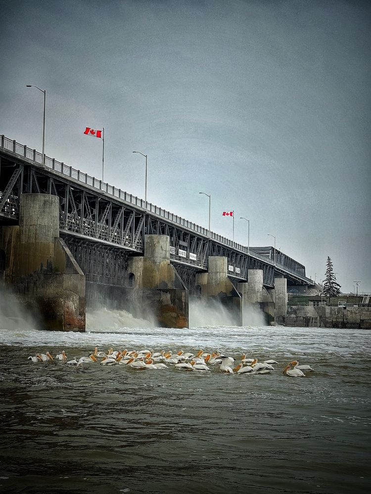 Photograph by Юлия Порфирьева