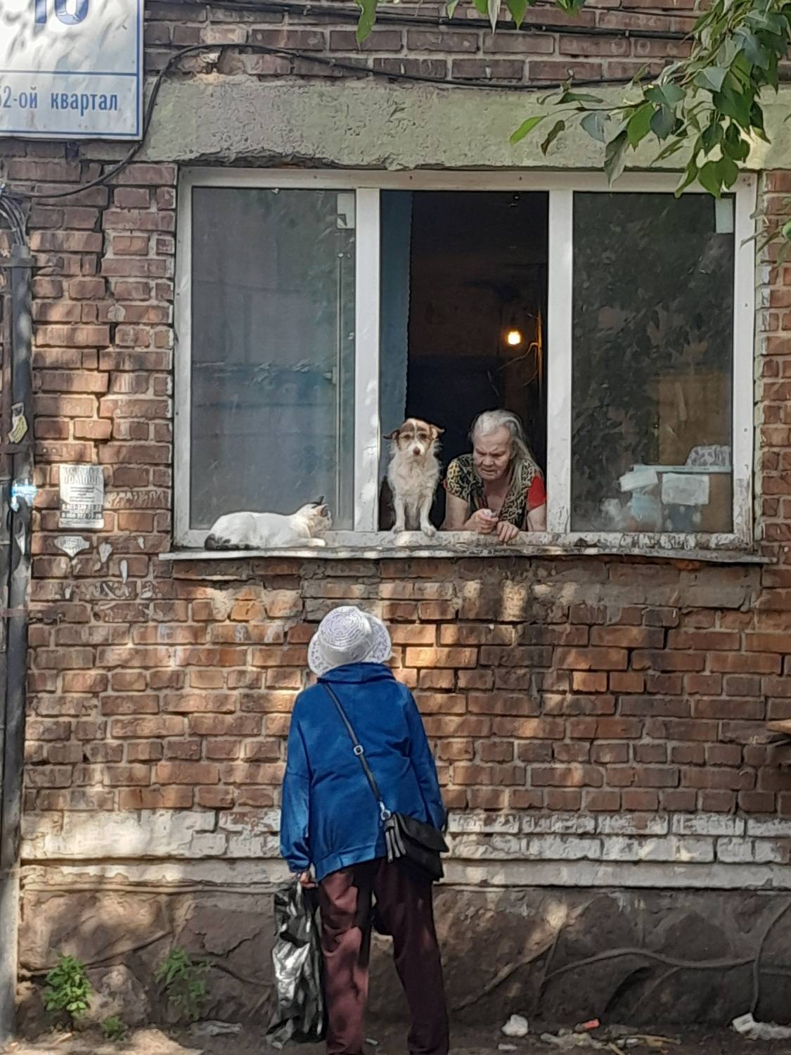 Photo #12429061