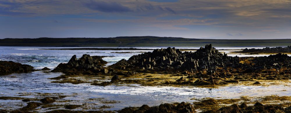 Photograph by Игорь Щербаков