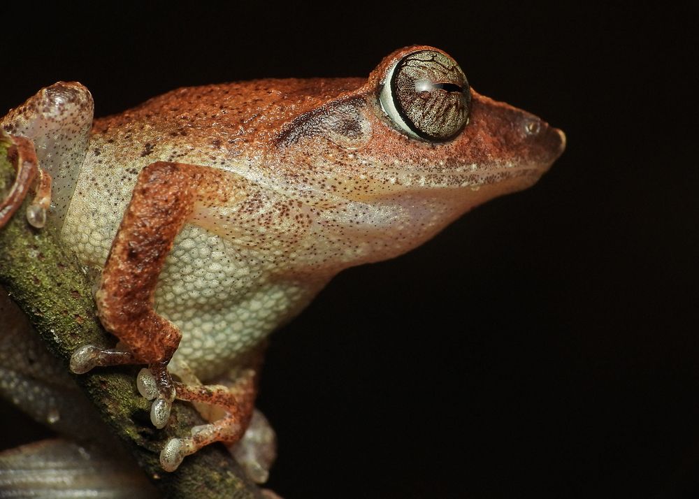 Photograph by Pasindu Dilshan Abegunawardhana