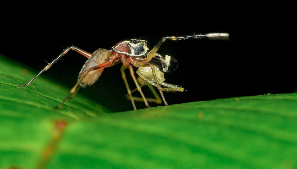 Photograph by Pasindu Dilshan Abegunawardhana