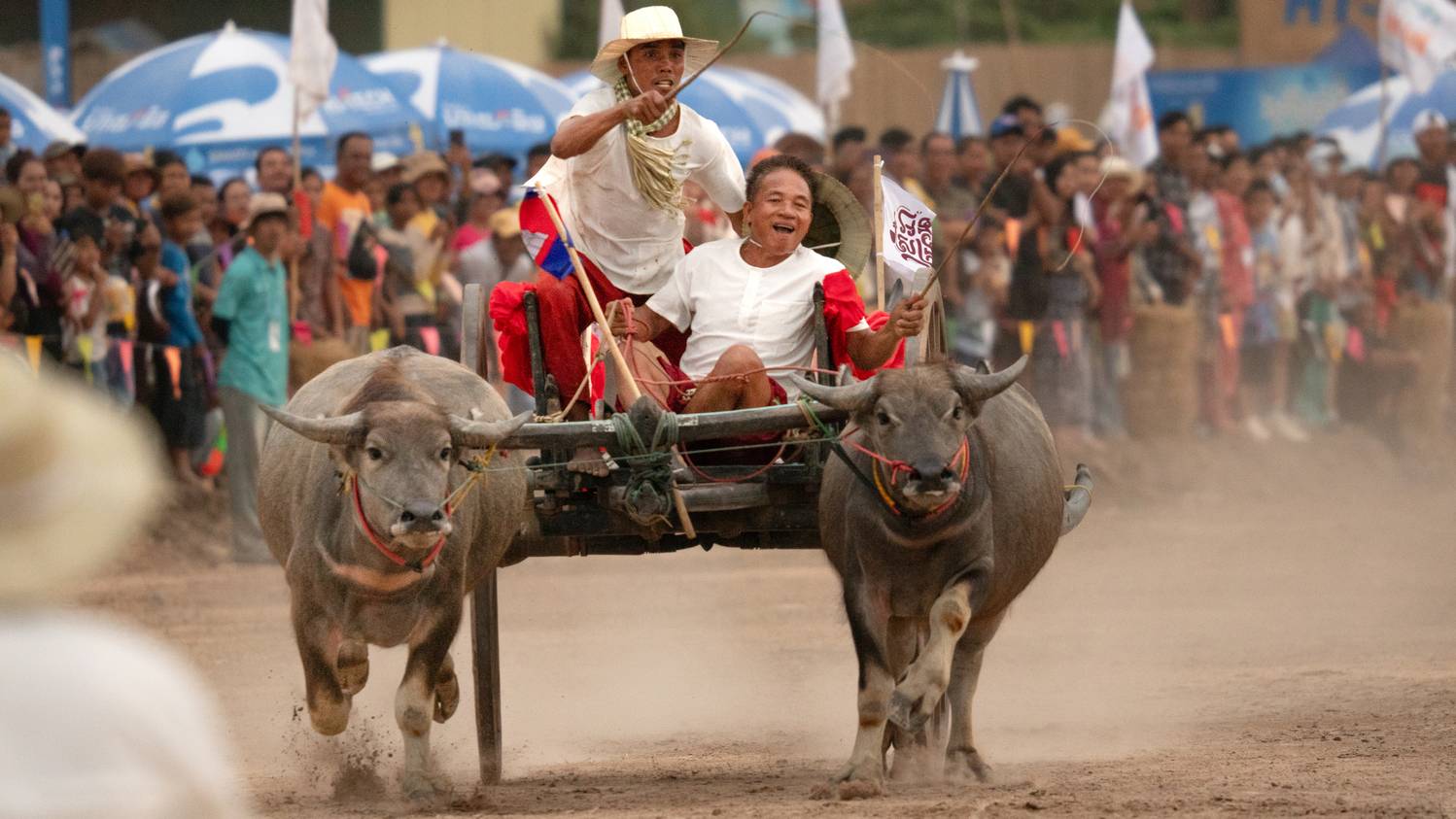 Фотография #12429098