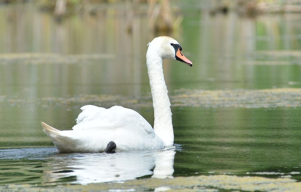 Photograph by Алексей Volg