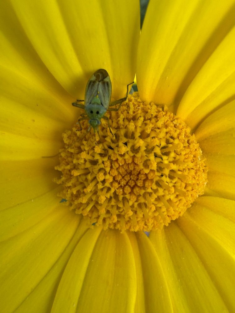 Photograph by Юлия Давшан