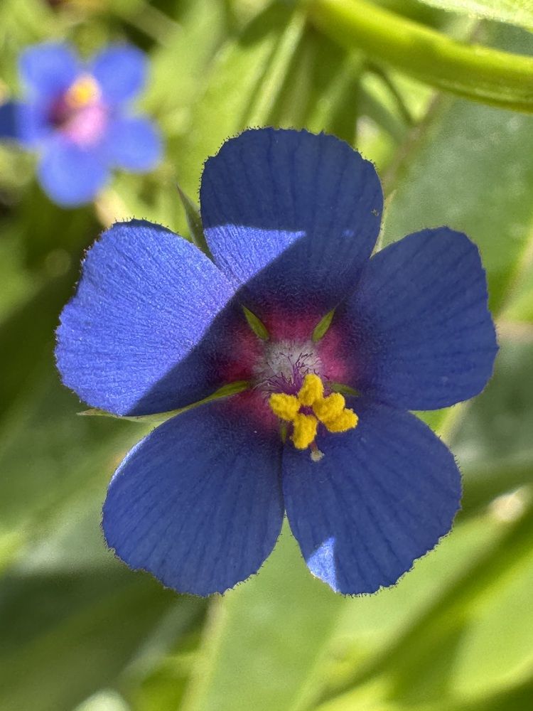 Photograph by Юлия Давшан