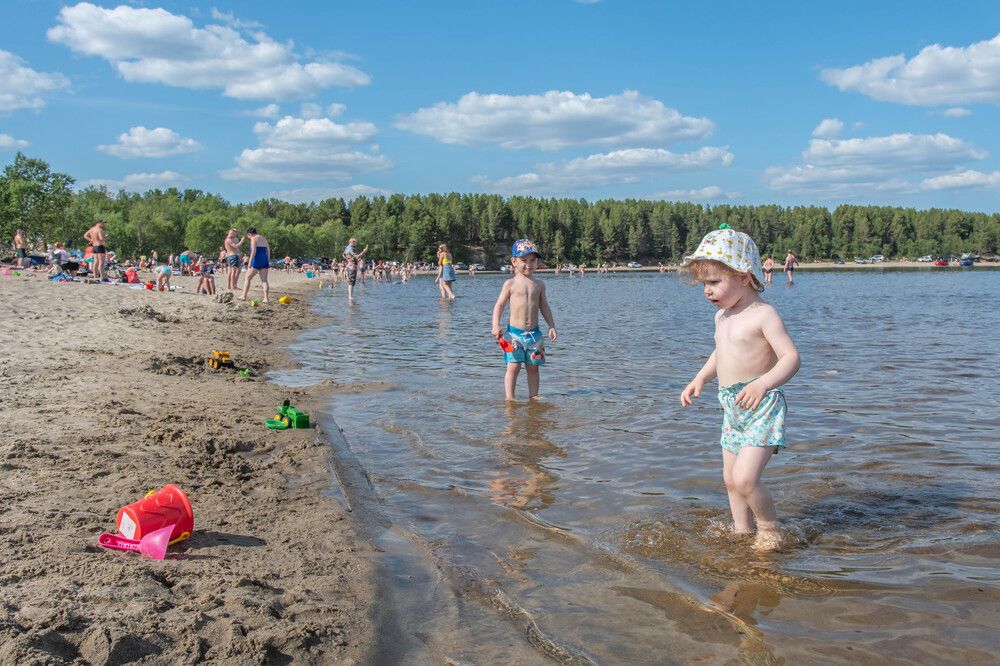 Я готов целовать песок, по которому ты ходила