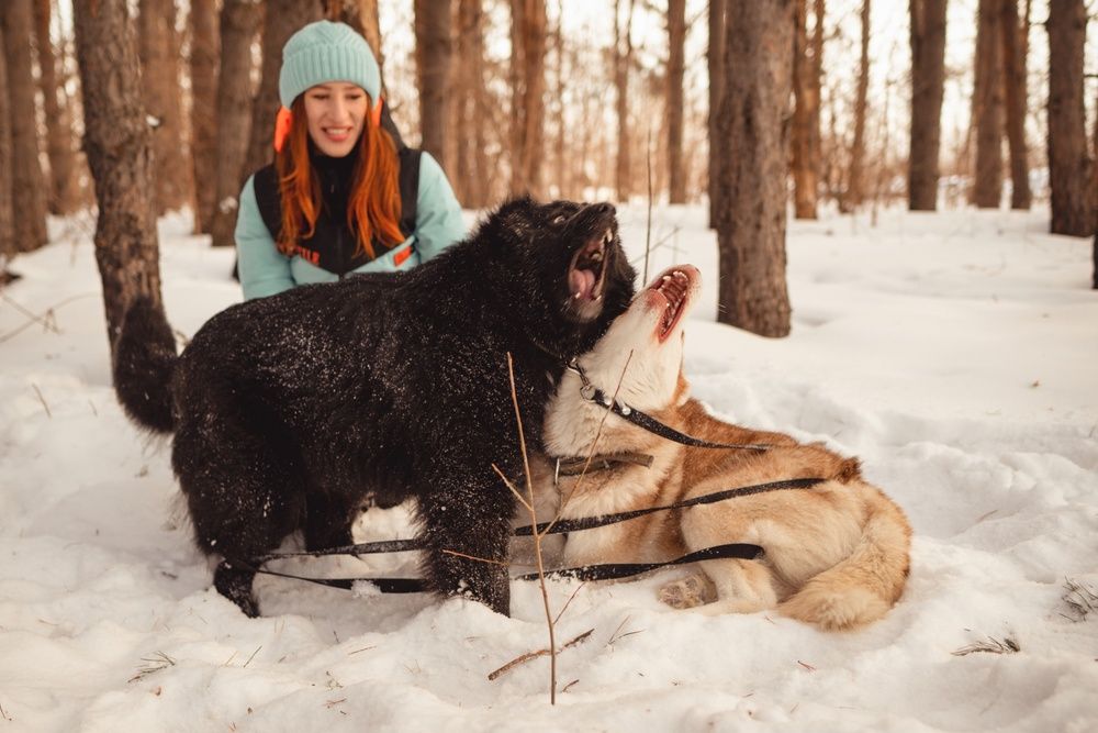 Photograph by Андреев Виктор