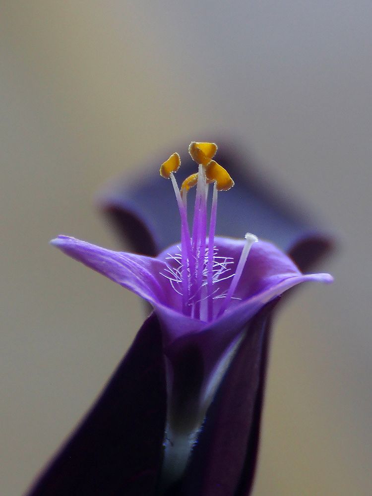 Photograph by Farid Ataei