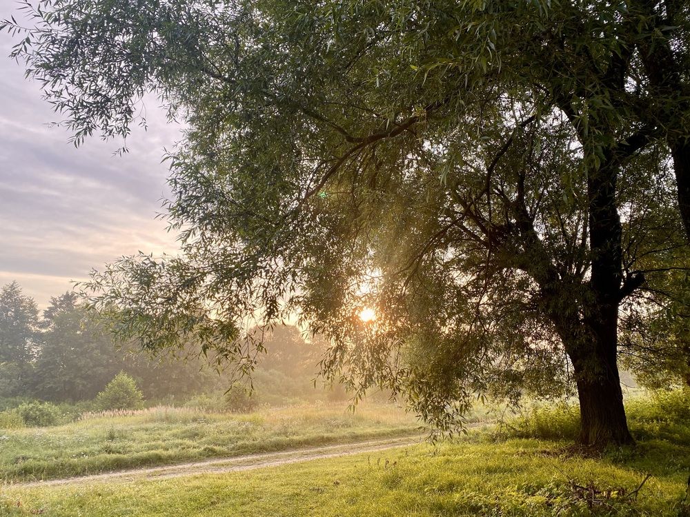 Photograph by Екатерина Макеева