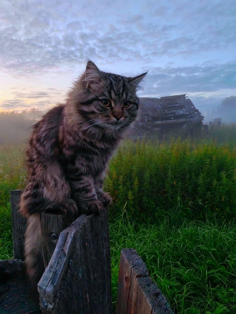 Photograph by Александр