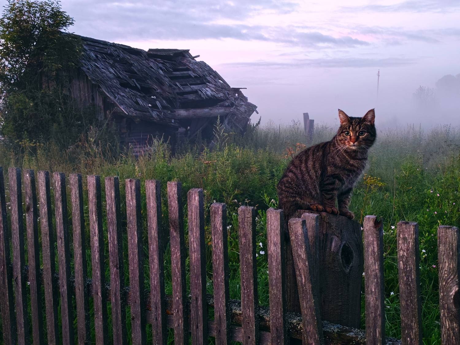 Photo #12429694