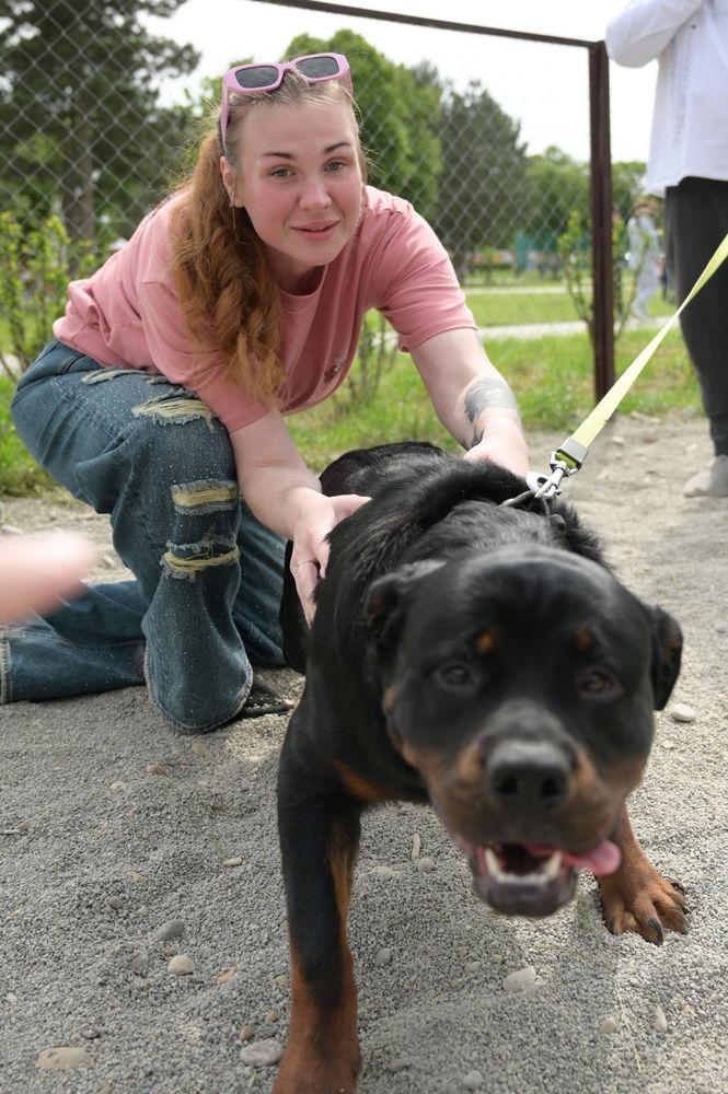 Photograph by Светлана Лукошкина