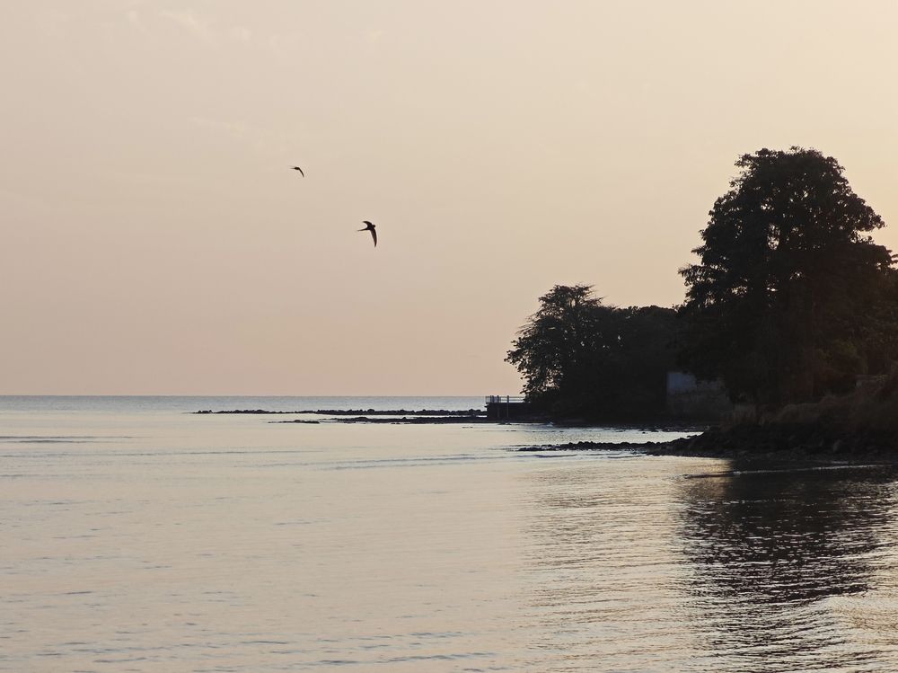 Фотография автора 馮贊謙