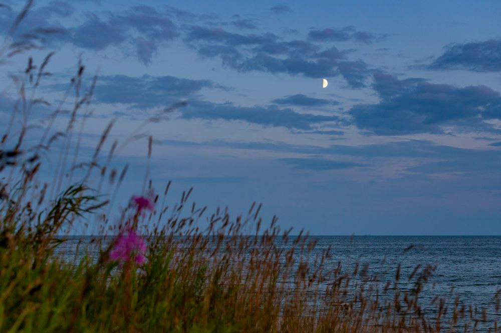 Photograph by Константин Чижов