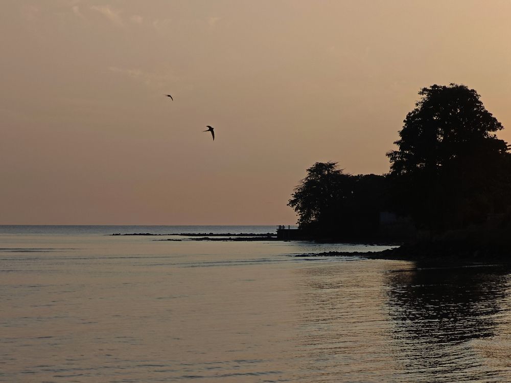 Фотография автора 馮贊謙