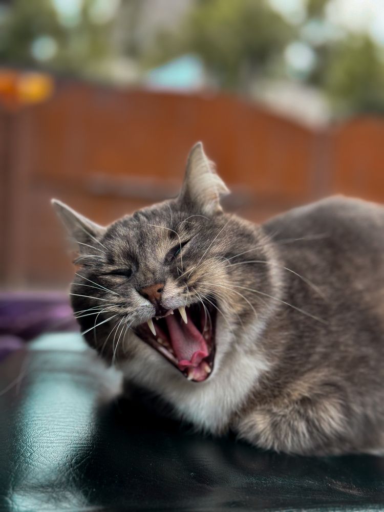 Photograph by Алёна Стародубцева