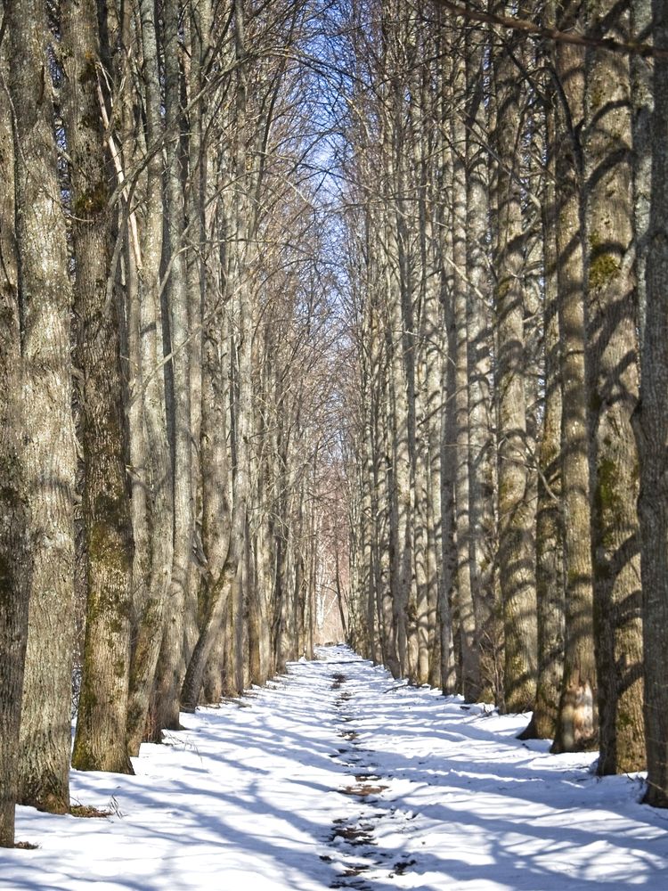Photograph by Илюшечкина Екатерина