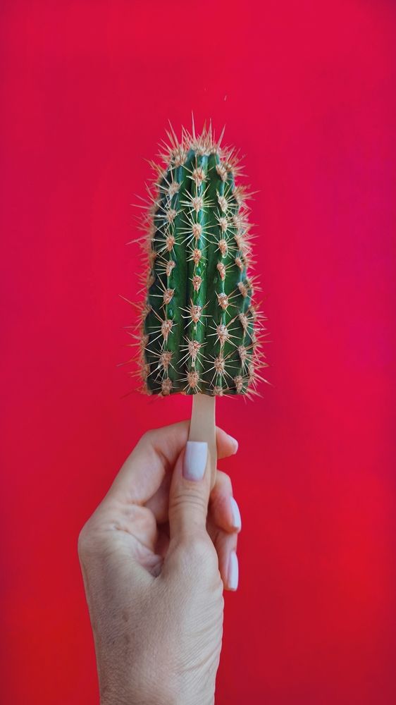 Фотография автора Михаил Бурминский