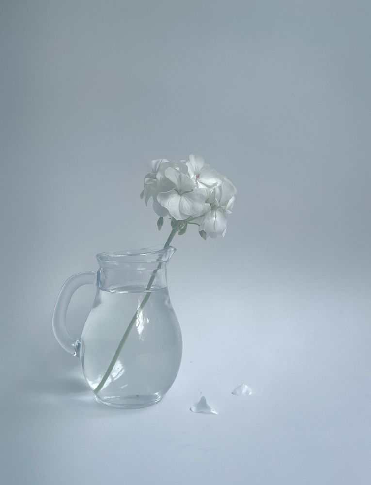 Фотография автора Светлана Тюрина