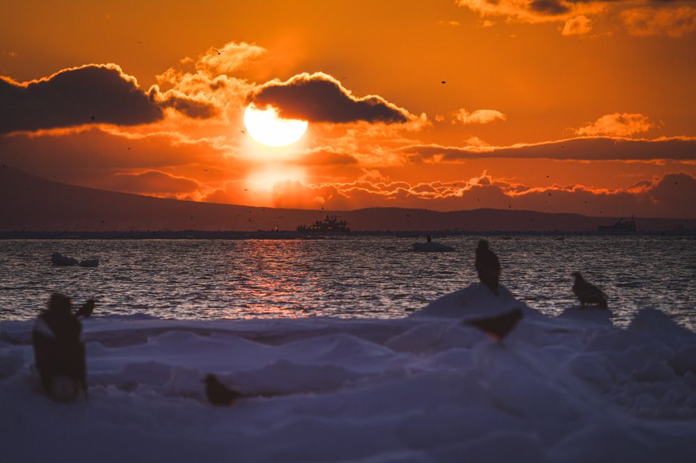 Фотография автора Nagai Go