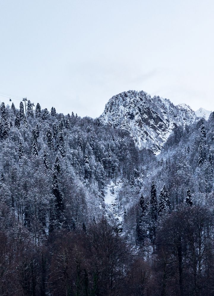 Photograph by Елена Гоосен