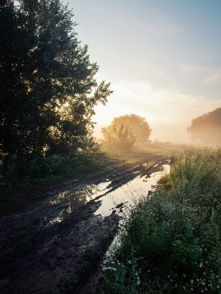 Photograph by Анна Любимова