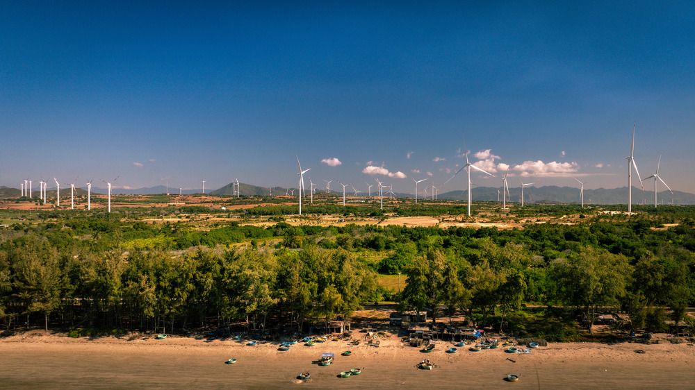 Photograph by Anh Nguyen