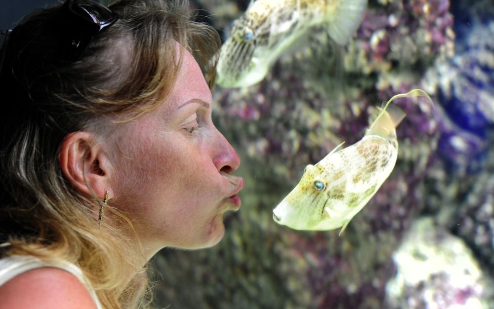 Photograph by Смирнов Валерий