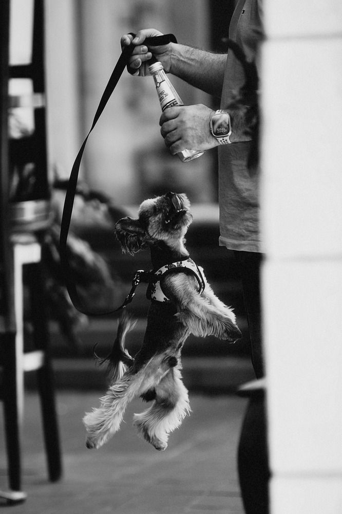 Photograph by Щеглова Марина