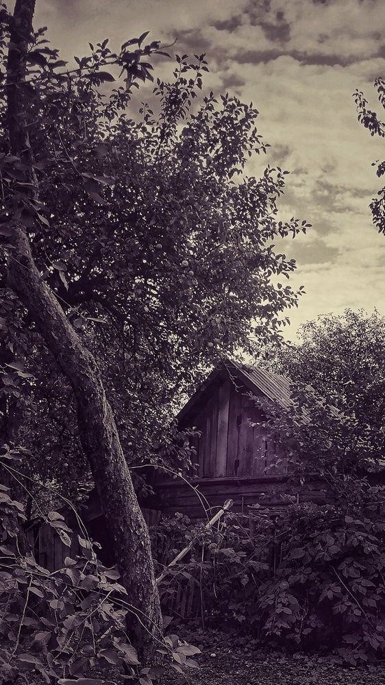 Photograph by Юлия Казимирова