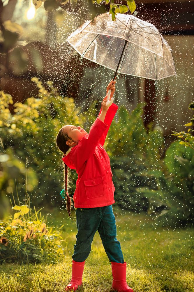 Фотография автора Ирина Богдан
