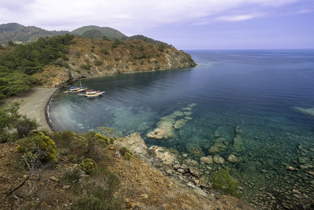 Photograph by Манаков Илья