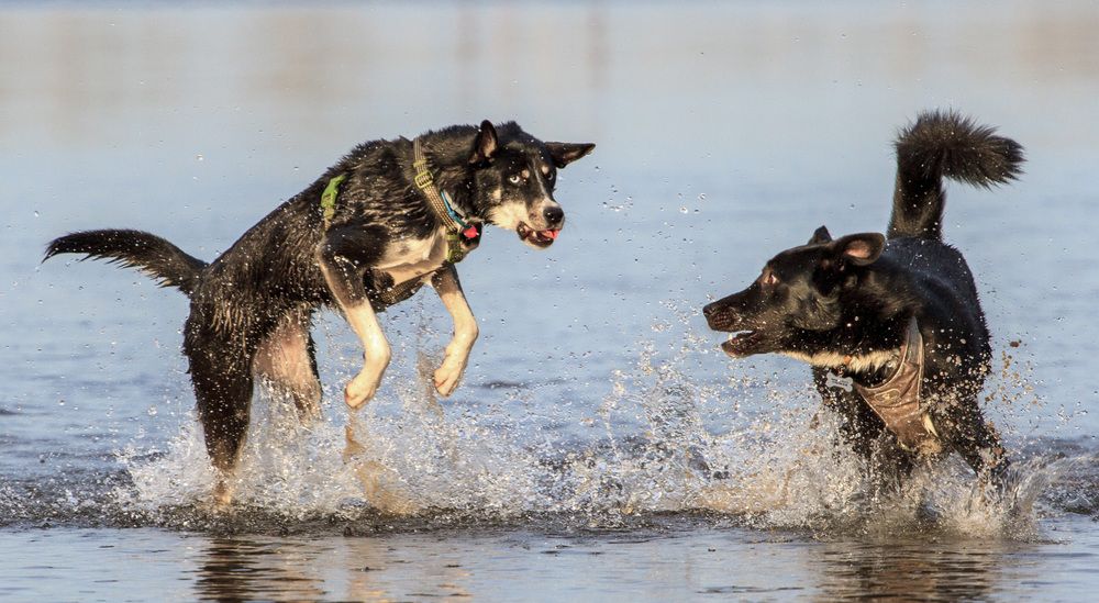 Фотография автора Червяков Григорий