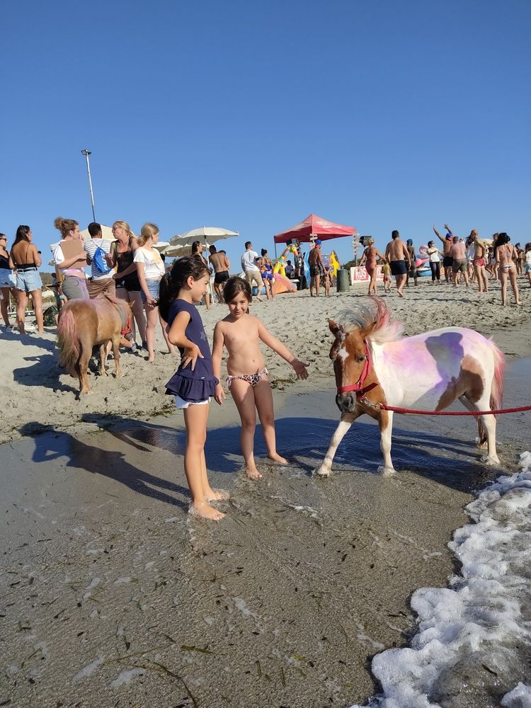 Фотография автора Наталья Елисеева