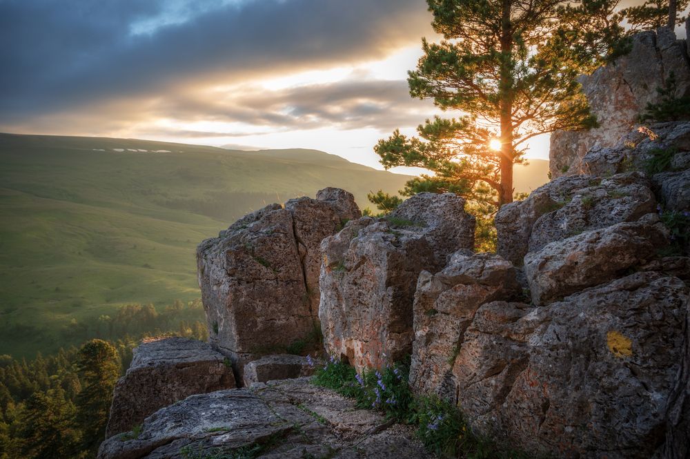 Photograph by Сергей Тихомиров