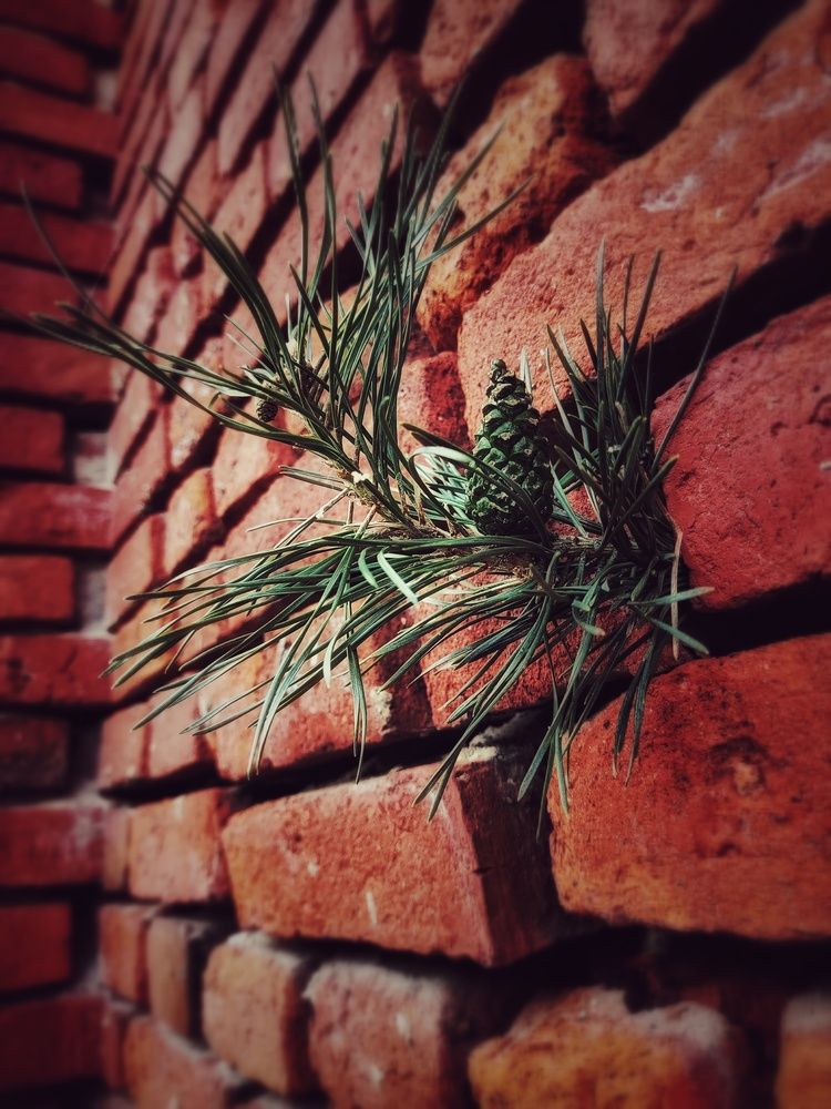 Photograph by Сергей Кулиев
