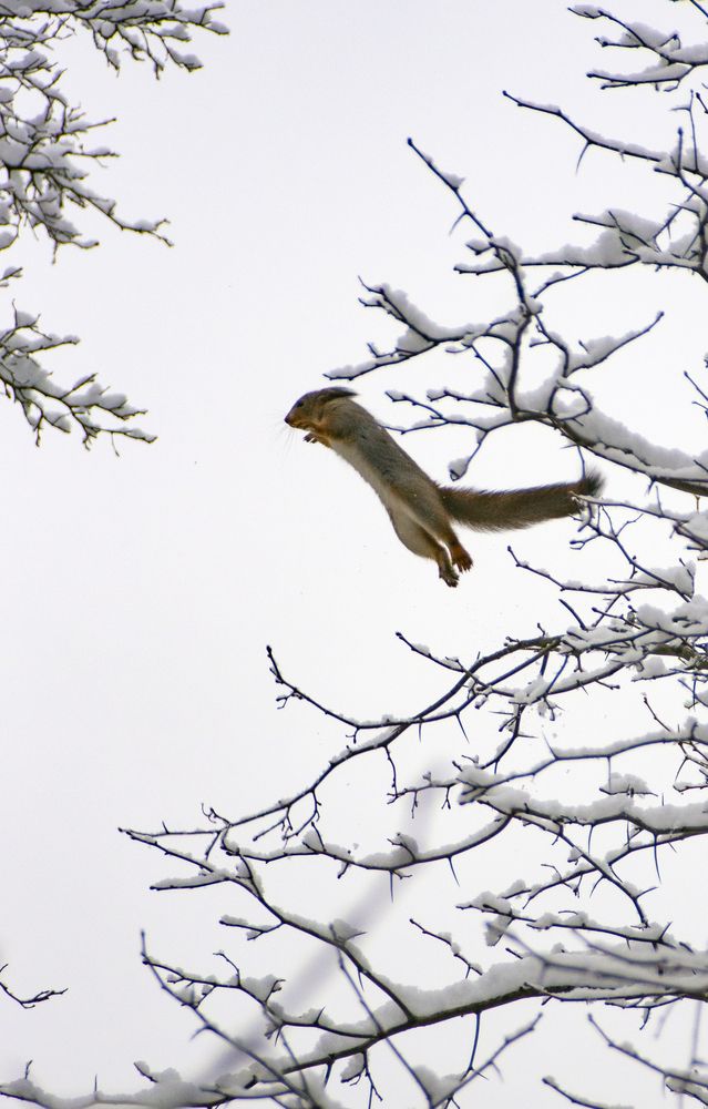 Photograph by Павел Одинец