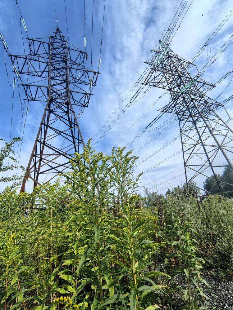 Photograph by Olga Kot