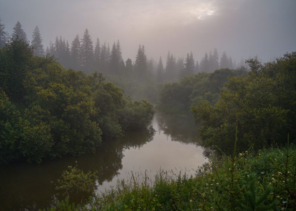 Фотография автора Юлия Есина
