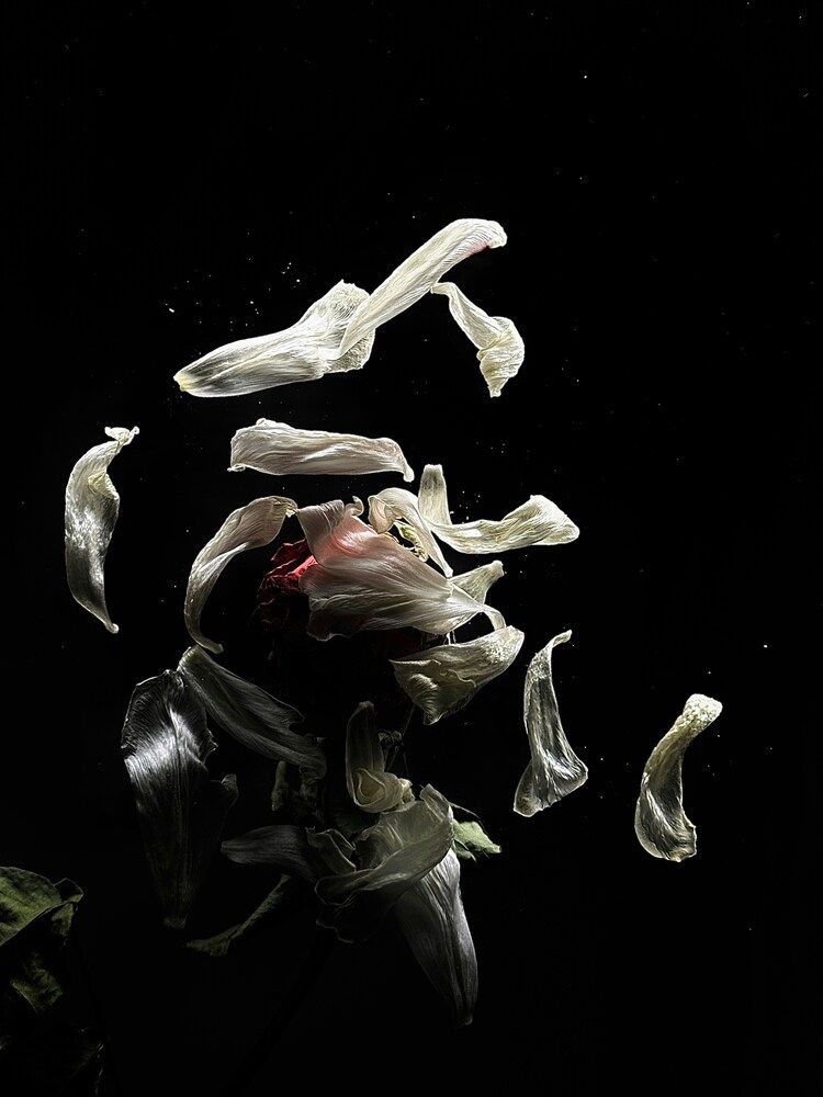 Photograph by Бороздина Мария