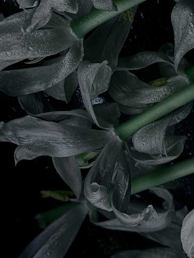 Photograph by Бороздина Мария