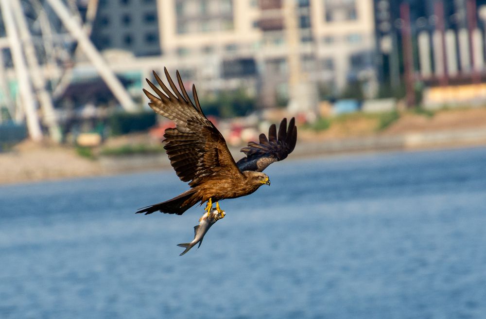 Photograph by Валерий Абдулзябаров