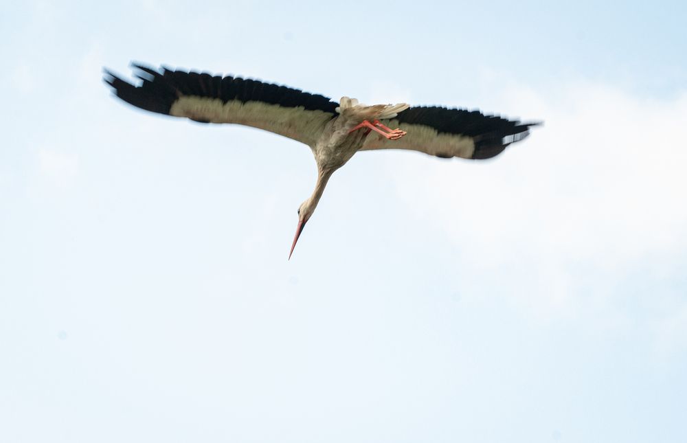 Photograph by Tanzilya Gabidullina